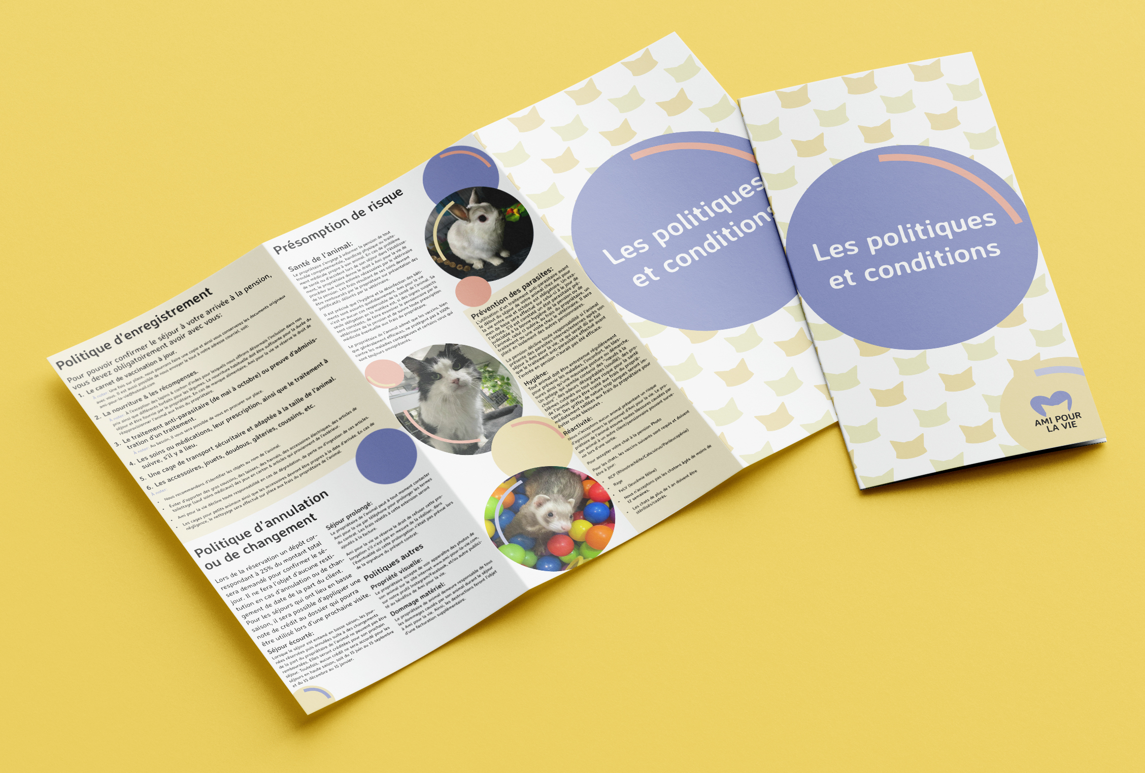 brochure